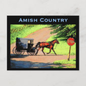 Amish Buggy Postcard Postkarte (Vorderseite)
