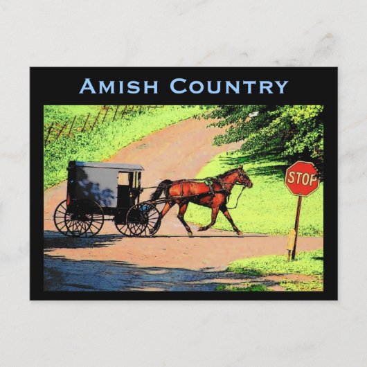 Amish Buggy Postcard Postkarte (Vorderseite)