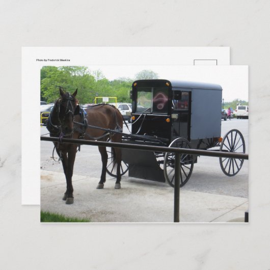 Amish Buggy Postkarte (Vorne/Hinten)