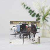 Amish Buggy Postkarte (Stehend Vorderseite)