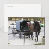 Amish Buggy Postkarte (Vorne/Hinten)