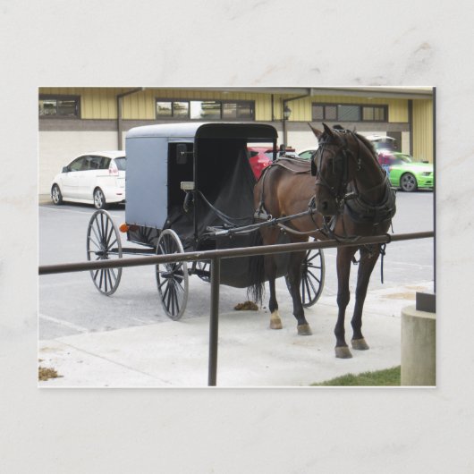 Amish Buggy Postkarte (Vorderseite)