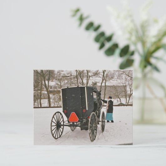 Amish Buggy-Postkarte Postkarte (Stehend Vorderseite)