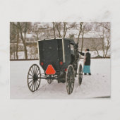 Amish Buggy-Postkarte Postkarte (Vorderseite)