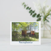 Amish Buggyen Postkarte (Stehend Vorderseite)