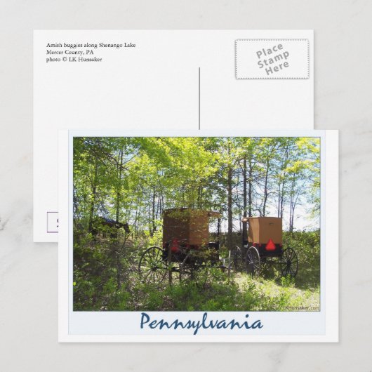 Amish Buggyen Postkarte (Vorne/Hinten)