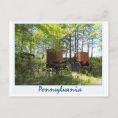 Amish Buggyen Postkarte (Vorderseite)
