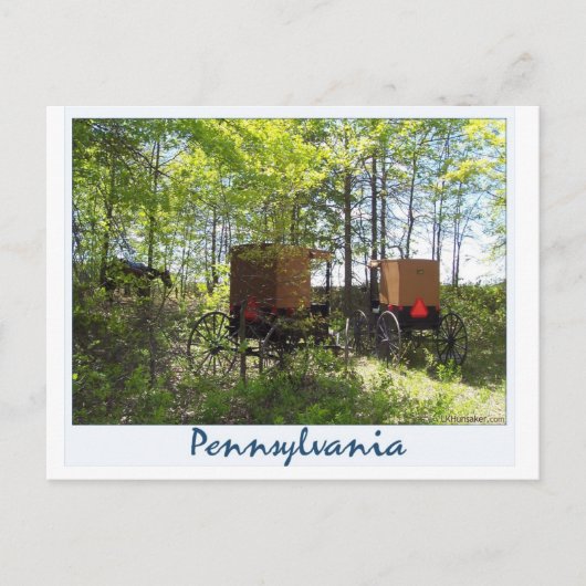 Amish Buggyen Postkarte (Vorderseite)