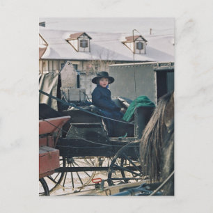 Amish Child in Buggy-Postkarte Postkarte
