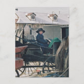 Amish Child in Buggy-Postkarte Postkarte (Vorderseite)