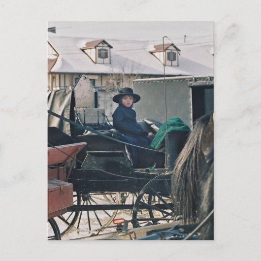 Amish Child in Buggy-Postkarte Postkarte (Vorderseite)