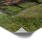 Amish Church and Horses Poster (Ecke)
