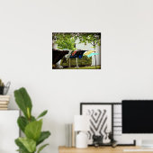 Amish Clothes Line und Hay Wagon Poster (Heimbüro)