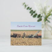 Amish Corn Harvest Postcard Postkarte (Stehend Vorderseite)