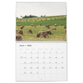 Amish Country 2025 Kalender (Mär 2026)