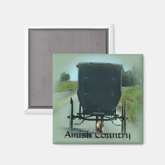 Amish Country Buggy Magnet (Vorderseite/Rückseite)