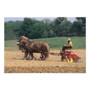 Amish Country einfache Leute in der Landwirtschaft Fotodruck
