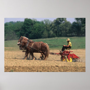 Amish Country einfache Leute in der Landwirtschaft Poster