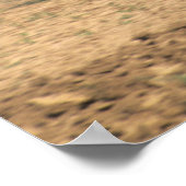 Amish Country einfache Menschen in der Landwirtsch Poster (Ecke)