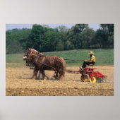 Amish Country einfache Menschen in der Landwirtsch Poster (Vorne)