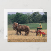 Amish Country einfache Menschen in der Landwirtsch Postkarte (Vorne/Hinten)
