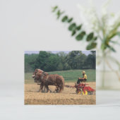 Amish Country einfache Menschen in der Landwirtsch Postkarte (Stehend Vorderseite)