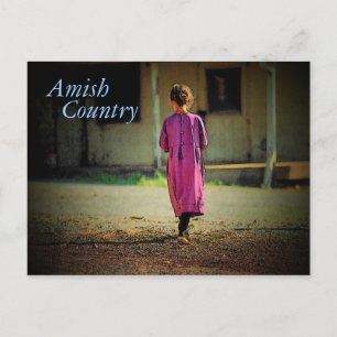 Amish Country Girl Postcard Postkarte
