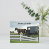 Amish Country in Lancaster Pennsylvania Postkarte (Stehend Vorderseite)
