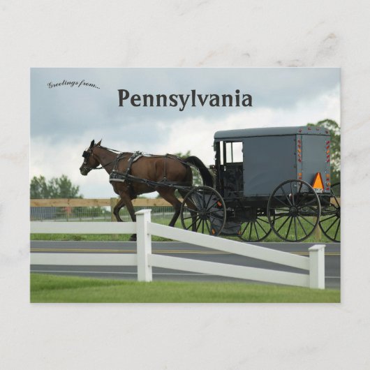 Amish Country in Lancaster Pennsylvania Postkarte (Vorderseite)