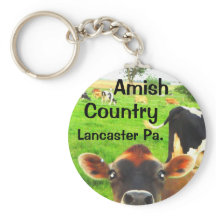 Amish Country Kühe! Lancaster