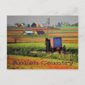 Amish Country Landscape Postcard Postkarte (Vorderseite)