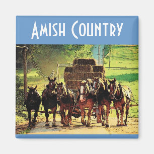 Amish Country Magnet