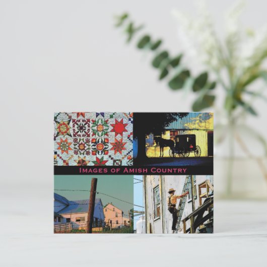 Amish Country Postcard Postkarte (Stehend Vorderseite)