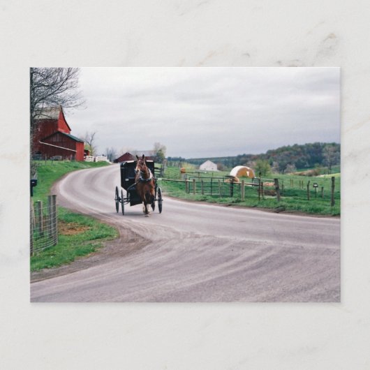 Amish Country Road Postkarte (Vorderseite)