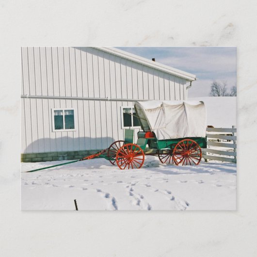 Amish Covered Wagon-Postcard Postkarte (Vorderseite)
