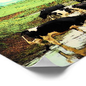 Amish Cows Poster (Ecke)