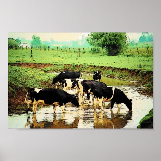 Amish Cows Poster (Vorne)
