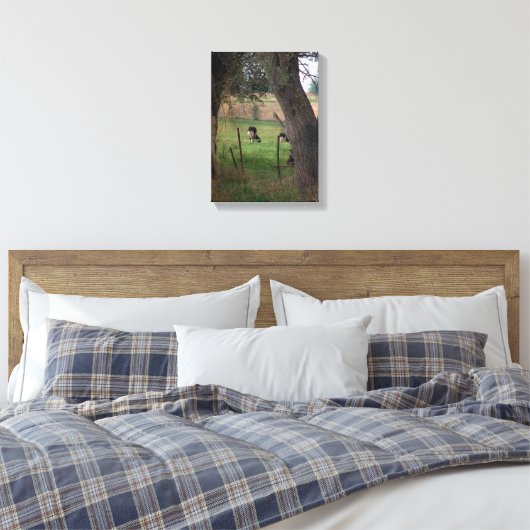 Amish Dairy Cattle Leinwanddruck (Insitu (Schlafzimmer))