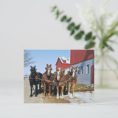 Amish Draft Horse Team-Postcard Postkarte (Stehend Vorderseite)