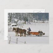 Amish Draft Horses Giddie-Up Postkarte (Vorne/Hinten)