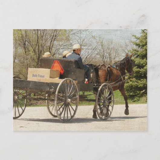 Amish Family Heading Zuhause Postkarte (Vorderseite)