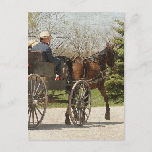 Amish Family Heading Zuhause Postkarte (Vorderseite)