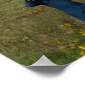 Amish Farm Life Poster (Ecke)