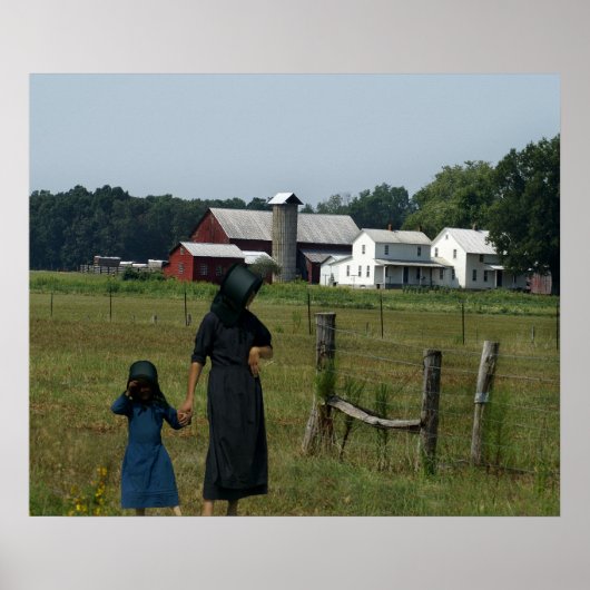 Amish Farm Life Poster (Vorne)
