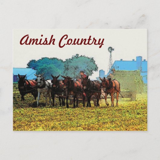 Amish Farm Postcard Postkarte (Vorderseite)