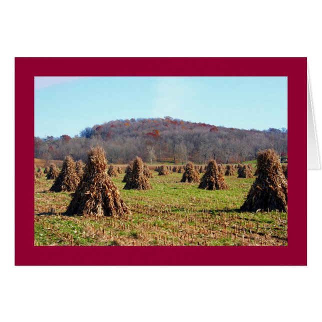 Amish Fields (Vorderseite (Horizontal))