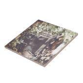 Amish Fliese (Seite)