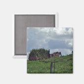 Amish Harvest Magnet (Vorderseite/Rückseite)