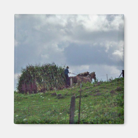 Amish Harvest Magnet (Vorne)