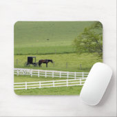 Amish-Hof mit Pferd und Buggy in der Nähe von Berl Mousepad (Mit Mouse)